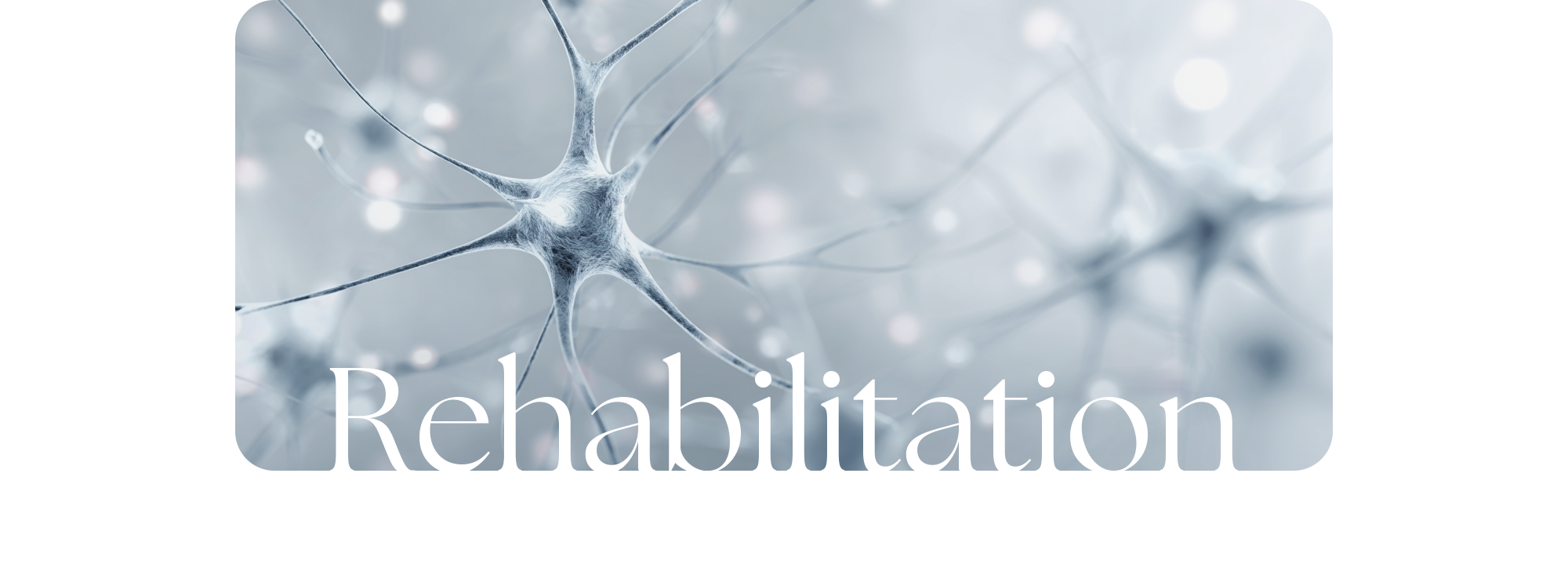 신경 균형을 회복시키는 자율신경 재활치료 Rehabilitation