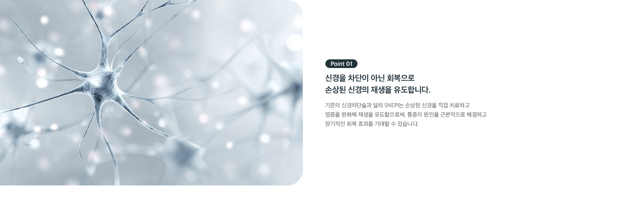 Point 01 - 신경 차단이 아닌 회복, 손상된 신경의 재생을 유도하는 SNEPI 자율신경치료