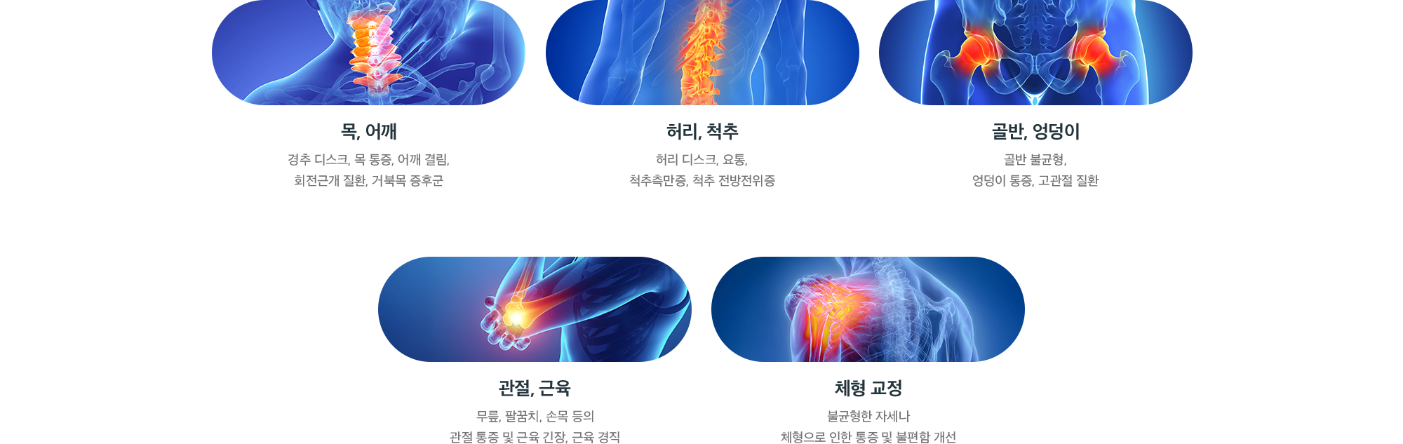 도수치료 적용 부위별 질환 - 목·어깨, 허리·척추, 골반·엉덩이, 관절·근육, 체형 교정