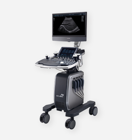 E-CUBE Platinum(PT)