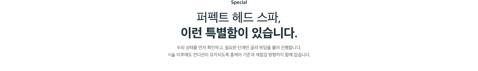 두피 상태를 먼저 확인하고 필요한 단계만 골라 진행하는 퍼펙트 헤드 스파의 특별함