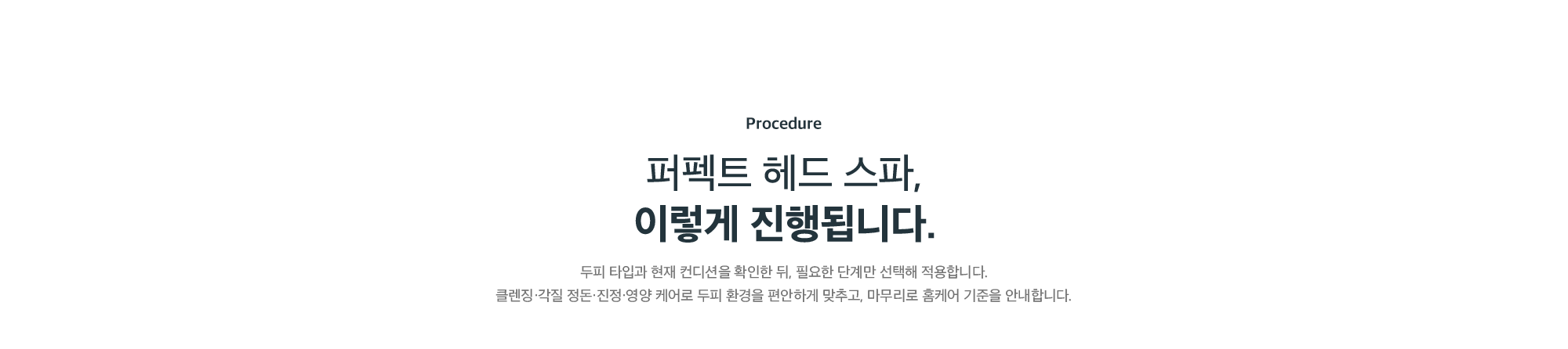 퍼펙트 헤드 스파 진행 과정 - 두피 타입과 컨디션 확인 후 클렌징·각질 정돈·진정·영양 케어 단계 적용