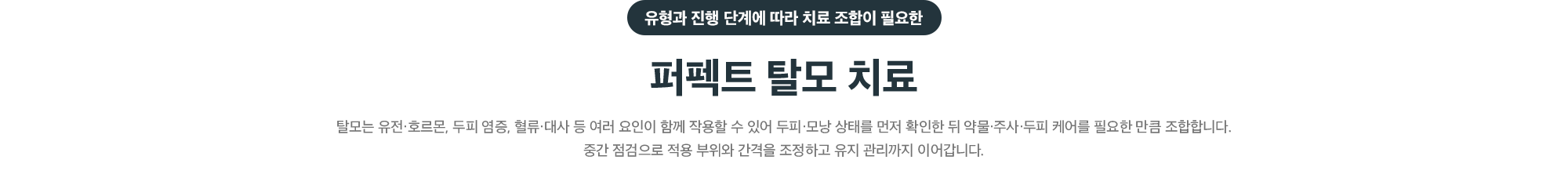유형과 진행 단계에 따라 치료 조합이 필요한 퍼펙트 탈모 치료 - 두피·모낭 상태를 확인한 뒤 약물·주사·두피 케어를 조합