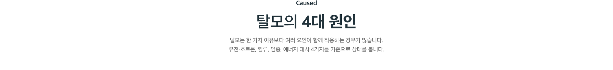 탈모의 4대 원인 - 유전·호르몬, 혈류, 염증, 에너지 대사 기준으로 보는 탈모 상태