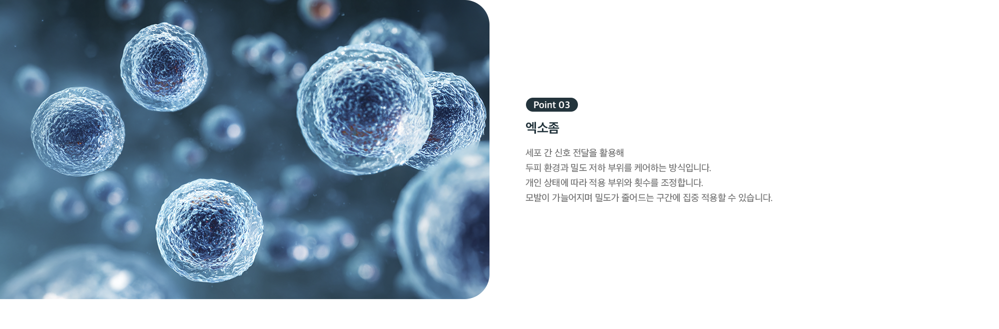 Point 03 - 엑소좀, 세포 간 신호 전달을 활용해 두피 환경과 밀도 저하 부위 케어
