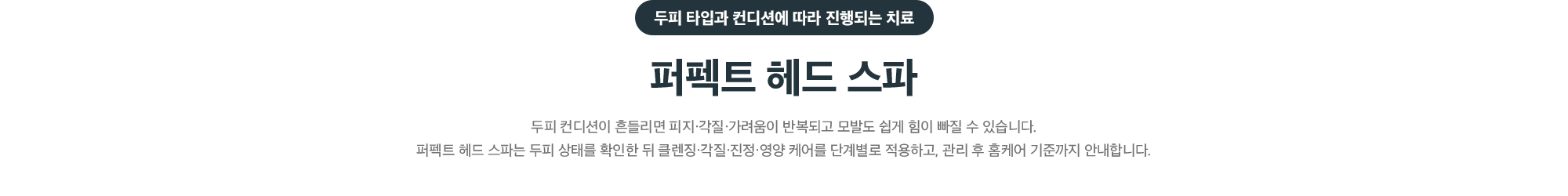 두피 타입과 컨디션에 따라 진행되는 치료, 퍼펙트 헤드 스파 - 클렌징·각질·진정·영양 케어를 단계별로 적용하고 홈케어 기준까지 안내