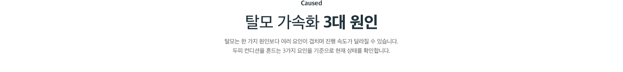 탈모 가속화 3대 원인 - 두피 컨디션을 흔드는 세 가지 요인 안내