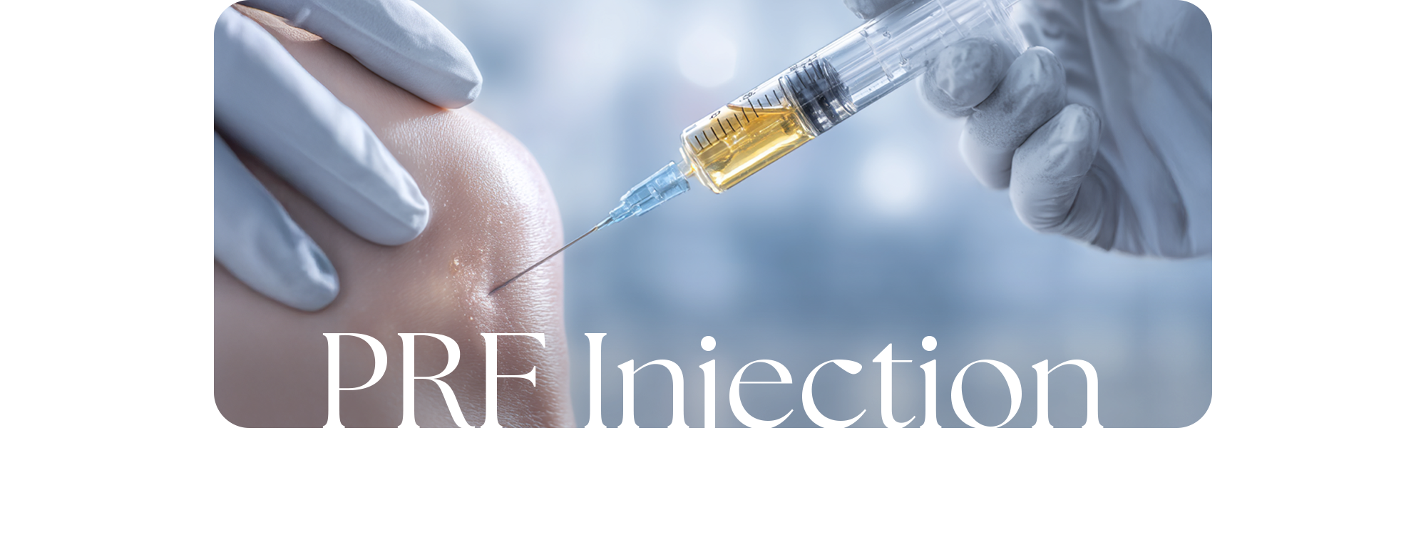 자가혈을 이용한 관절 및 인대 재생 PRF 주사 PRF Injection
